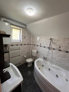 Photo 2 for Villa Sunny side Sarajevo