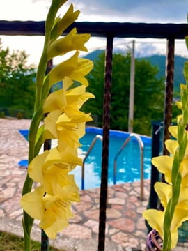 Fotografija 3 za Neretva River Guesthouse