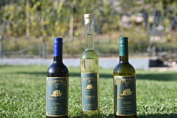 Photo 4 for Carpenter Wineyard