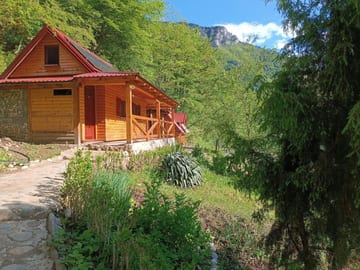 Photo 5 for Wildas Cabins, Tara River Canyon