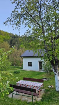 Photo 2 for River Valley Guest House