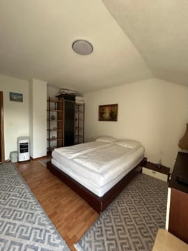 Photo 3 for Villa Miševići