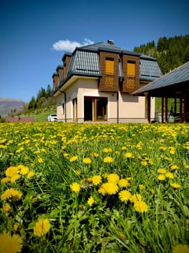 Photo 2 for Luxury Villa Kadic